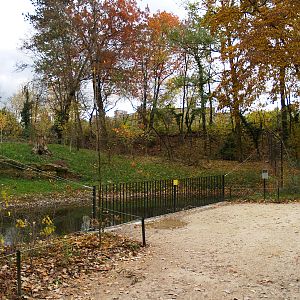 Tierpark Lange Erlen - Lynx exhibit