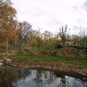 Tierpark Lange Erlen - Lynx exhibit