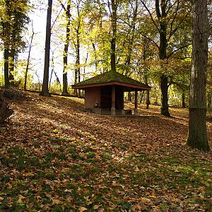 Tierpark Lange Erlen - Roe deer exhibit
