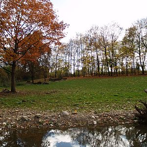 Tierpark Lange Erlen - Reed der exhibit