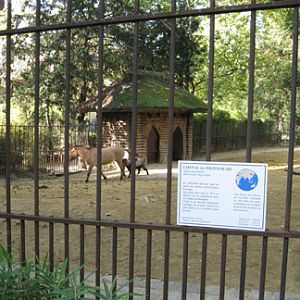 Le Menagerie, Oct 27, 2009