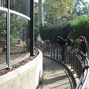 Le Menagerie, Oct 27, 2009