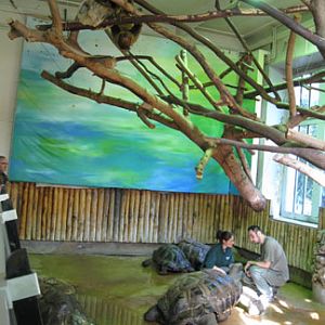 Le Menagerie, Oct 27, 2009