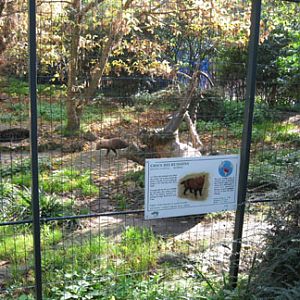 Le Menagerie, Oct 27, 2009