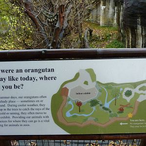 Orangutan Exhibit - Map