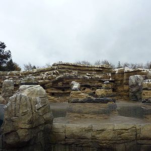 Humboldt Penguin Exhibit