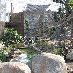 Elephant Odyssey - Jaguar Exhibit