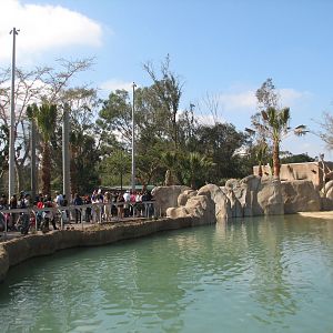 Elephant Odyssey - Asian Elephant Pool