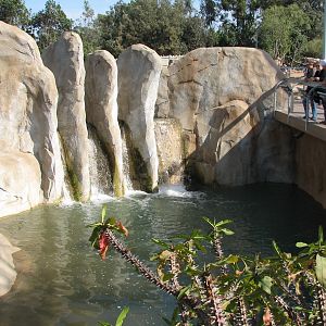 Elephant Odyssey - Bairds Tapir and Capybara Pool