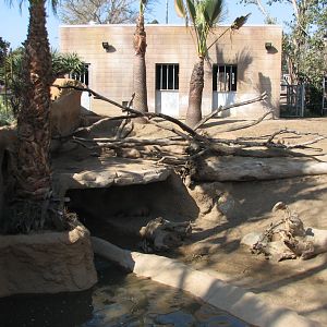 Elephant Odyssey - Bairds Tapir, Capybara, and Guanaco Exhibit