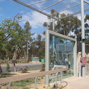 Elephant Odyssey - Secretary Bird Exhibit