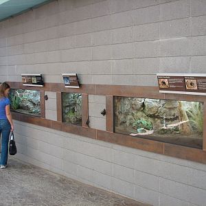 Elephant Odyssey - Exhibits for Egyptian Dung Beetles, Scorpions
