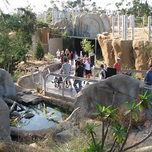 Elephant Odyssey - Stream Exhibit