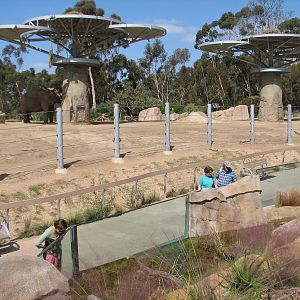 Elephant Odyssey - Asian Elephant Exhibit Near Stream Exhibit