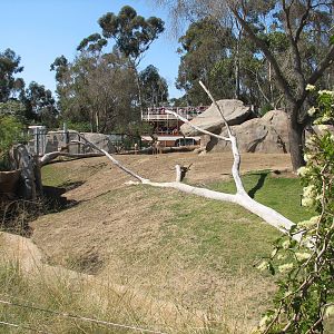 Elephant Odyssey - Pronghorn Exhibit