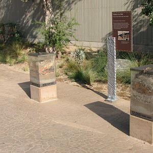 Elephant Odyssey - Pack Rat Nest Exhibit