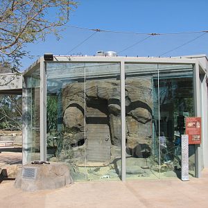 Elephant Odyssey - Rattlesnake Exhibit