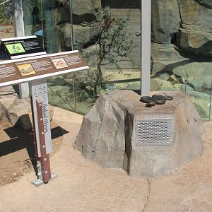 Elephant Odyssey - Rattlesnake Exhibit