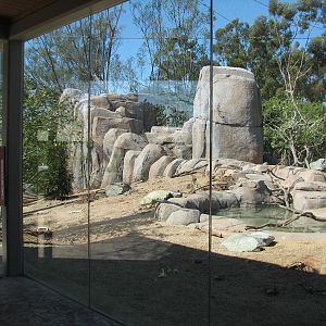 Elephant Odyssey - California Condor Viewing Area