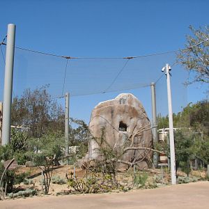 Elephant Odyssey - California Condor Exhibit