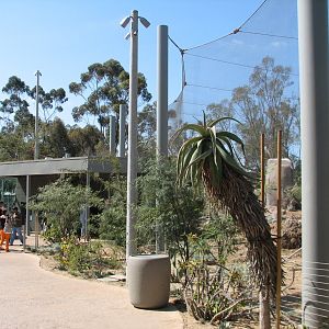 Elephant Odyssey - California Condor Exhibit