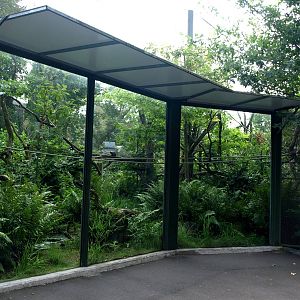 Cologne Zoo - South American primate exhibit