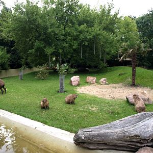 Cologne Zoo - South America exhibit
