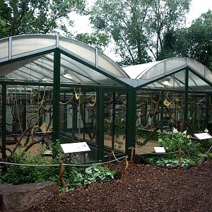 Cologne Zoo - Temporary Monkey House
