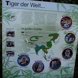 Cologne Zoo - Tiger signage