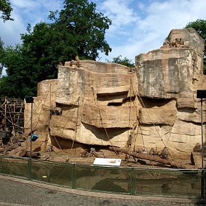 Cologne Zoo - Baboon Rocks