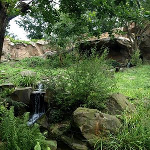 Cologne Zoo - Snow leopard exhibit