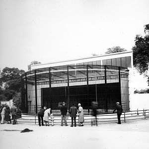 early days gorilla house