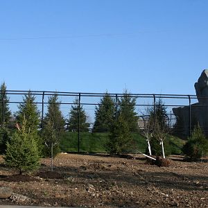 New Brown Bear Exhibit from Train