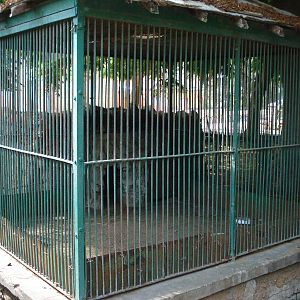 Red fox cage