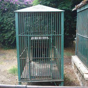 Raccoon cage