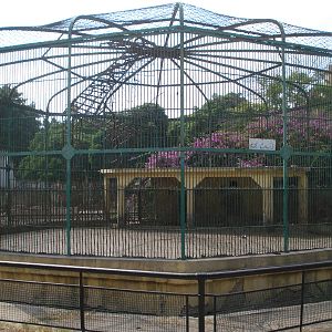 Egyptian jackal cage