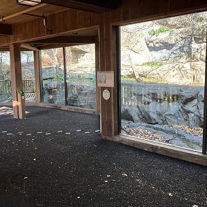 Minnesota Trail - Canadian Lynx Exhibit