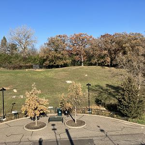 Northern Trail - Pronghorn Exhibit