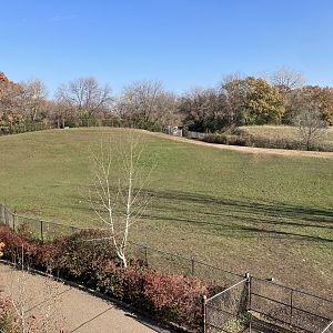 Northern Trail - Przewalski’s Horse/Bactrian Camel Exhibit