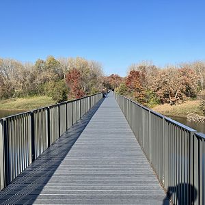 Treetop Trail - Path