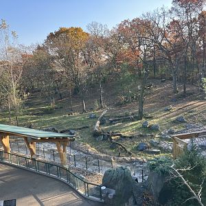 Northern Trail - Amur Tiger Exhibit