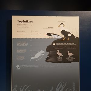 Antwerp zoo sea duck and sturgeon enclosure.