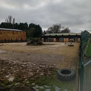 White Rhino Hardstanding