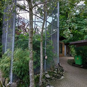 Aviary near entrance