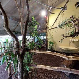 Upper floor Dschungelhaus