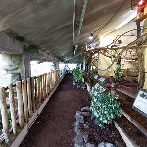 Dschungelhaus - Upper floor