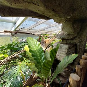 Dschungelhaus upper floor