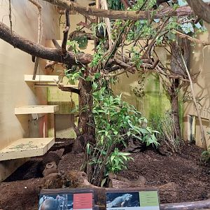 Dschungelhaus upper floor