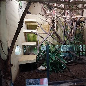 Dschungelhaus upper floor