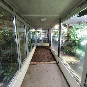 Reptilienhaus - General view